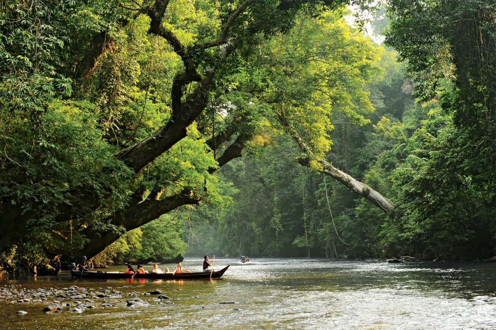 About Taman Negara